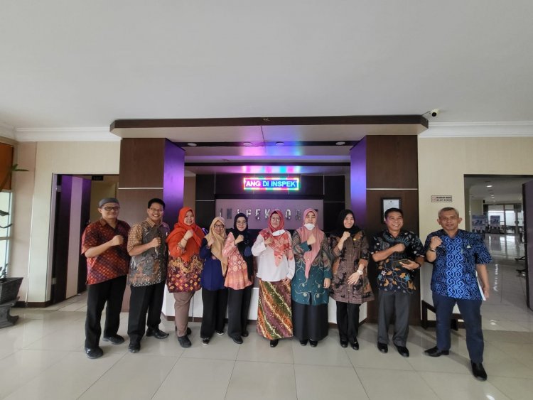 Sharing knowledge terkait Pemenuhan Elemen Kapabilitas APIP dan AKIP dengan Inspektorat Daerah Sumatera Selatan.